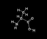 Alanine - line